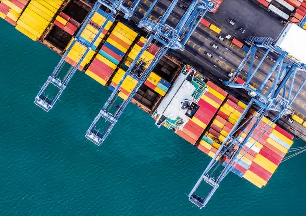 Conclusiones sobre la organización mundial del comercio