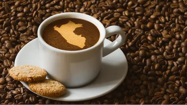 Cómo elegir un aliado logístico para exportar café