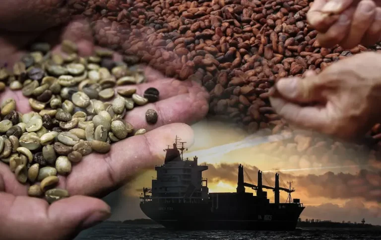 Consejos para la exportación de café peruano