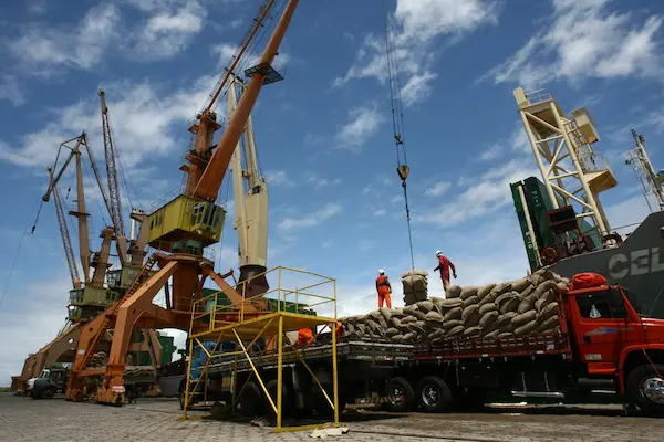 Logística internacional en la exportación de cacao