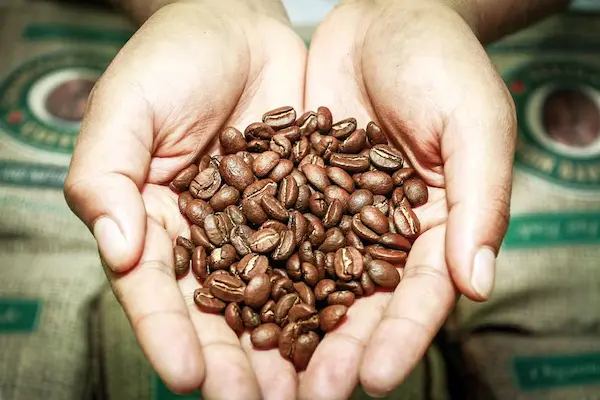Por qué es clave una buena estrategia logística en la exportación de café
