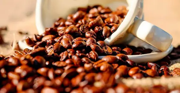Requisitos para exportar café desde Perú