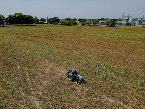 ¿Qué es la innovación tecnológica en agricultura?