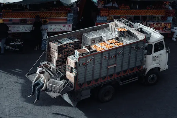 ¿Cómo funciona el transporte de carga congelada?