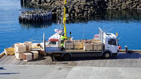 ¿Qué productos suelen transportarse congelados?