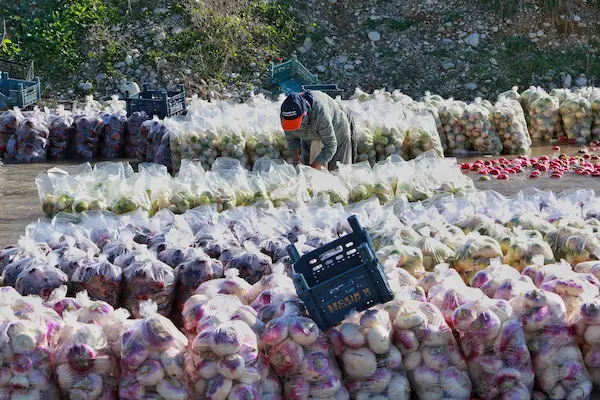 Temporadas de hortalizas y otros productos agrícolas