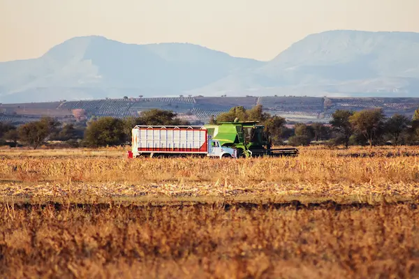 Tendencias y oportunidades para la agroexportación peruana